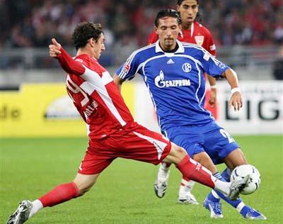 并指出这一 并指出这一